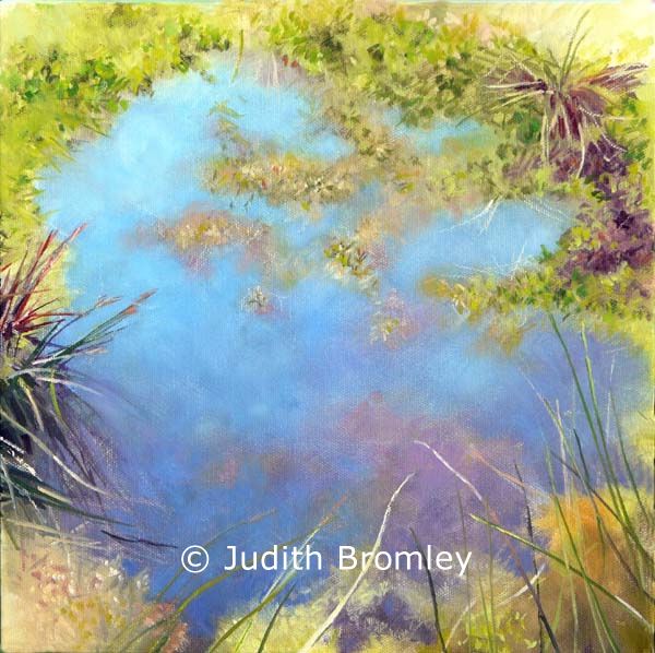 Bogpool by Judith Bromley