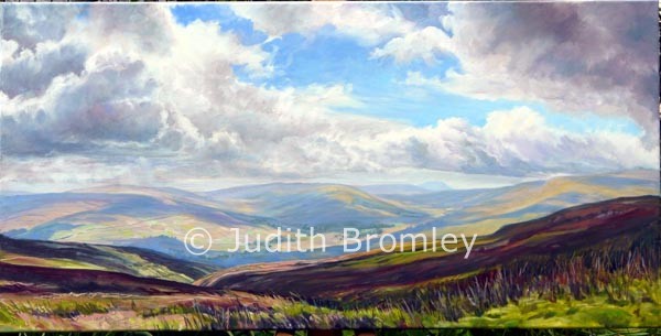 Sun & Shadow: oil on canvas painting by Judith Bromley