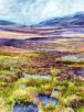 Bog by Judith Bromley