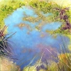 Bogpool by Judith Bromley