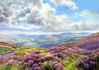 Cover for Climb up to the Moor by Judith Bromley and Robert Nicholls