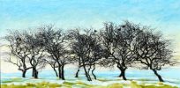 Grouse in Hawthorn by Judith Bromley