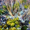 Reeds and Moss by Judith Bromley