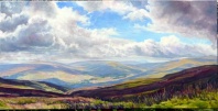 Sun & Shadow  by Judith Bromley