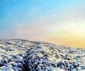Sunset Moon by Judith Bromley