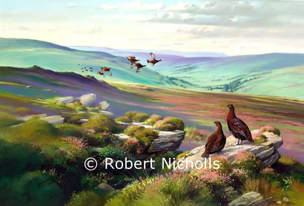 Grouse in Heather: original pastel and framed signed print by Robert Nicholls