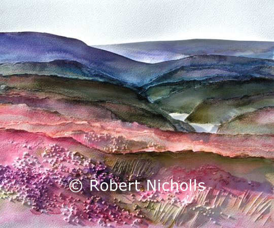 Moorland Pink:  original watercolour and framed signed print by Robert Nicholls