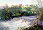 Aysgarth Falls by Robert Nicholls