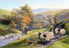 Bardale Autumn by Robert Nicholls