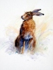 Brown Hare by Robert Nicholls