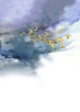 Golden Plover Flight: watercolour painting by Robert Nicholls