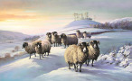 Ladyhill by Robert Nicholls