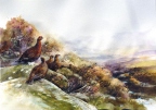 More Weather by Robert Nicholls