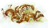 Stoat Dance: watercolour painting by Robert Nicholls